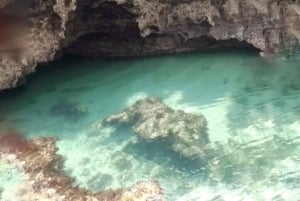 Tiwi : billet d'entrée pour la piscine africaine