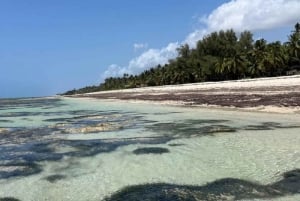 Tiwi Beach: Guided Tour to the African Pool