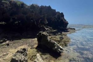 Tiwi Beach: Guided Tour to the African Pool