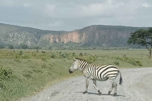 WYCIECZKA - NAIVASHA/HELL'S GATE, WYSPA PÓŁKSIĘŻYCA I SPA GEOTERMALNE