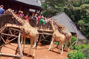 Nairobi City Center