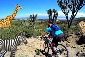 Tour to Hells Gate National Park and Lake Naivasha Boat Ride