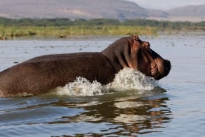 Tour to Hells Gate National Park and Lake Naivasha Boat Ride