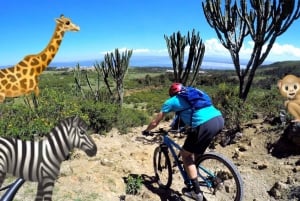 Tour to Hells Gate National Park and Lake Naivasha Boat Ride