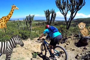 ヘルズ ゲート国立公園とナイバシャ湖ボート ライドへのツアー