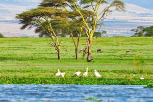 ヘルズ ゲート国立公園とナイバシャ湖ボート ライドへのツアー