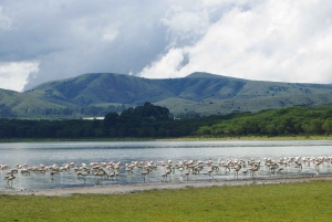 Tour to Hells Gate National Park and Lake Naivasha