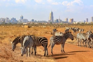 Nairobi Park, valfritt Giraffe Centre & Sheldrick Orphanage