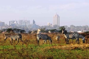 Nairobi Park, valfritt Giraffe Centre & Sheldrick Orphanage