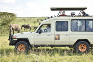 Tsavo Amboseli & Tsavo Expedition Safarimatkailu