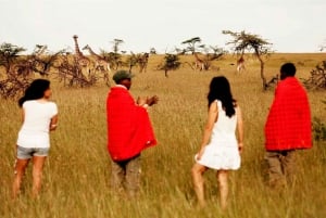 Tsavo Amboseli & Tsavo Expedition Safari Tour