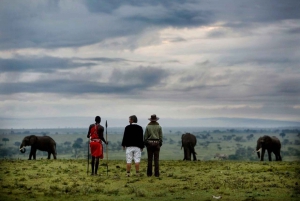 Safari Expedición Tsavo Amboseli y Tsavo