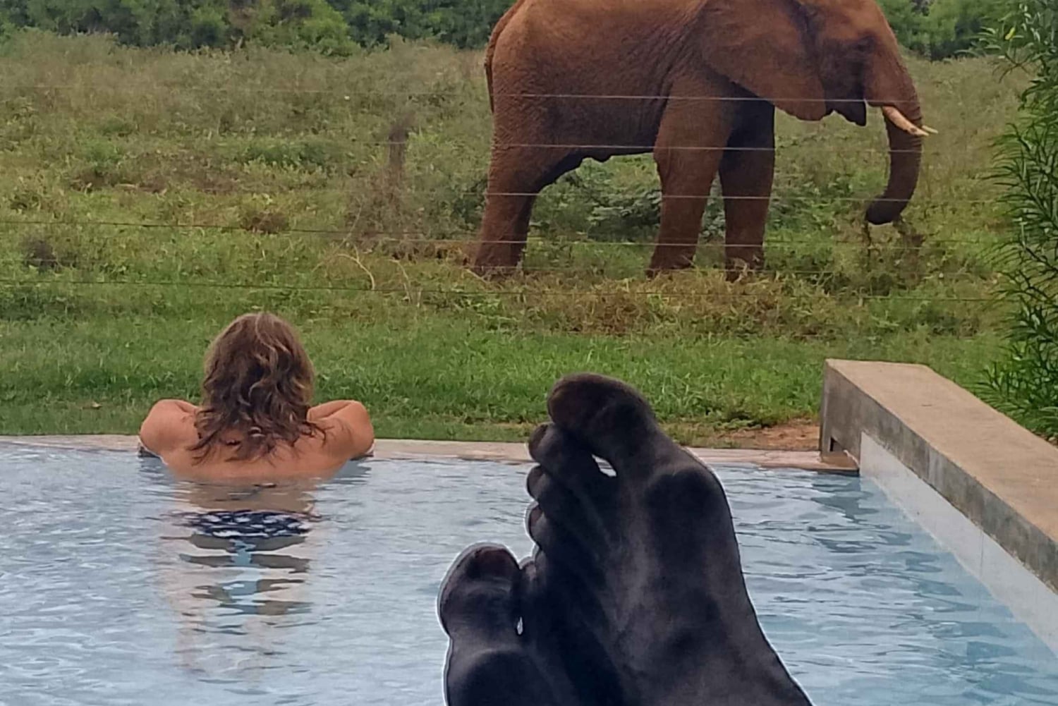 Tsavo East 2-Day Safari with Night Game Drive