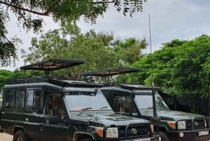 Tsavo East 2-Day Safari with Night Game Drive