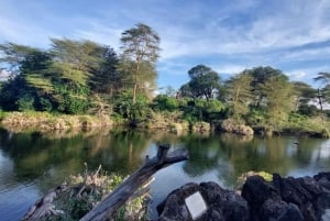 Tsavo East and Tsavo West Sanctuary Safari
