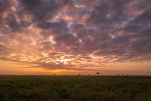 Tsavo East and Tsavo West Sanctuary Safari