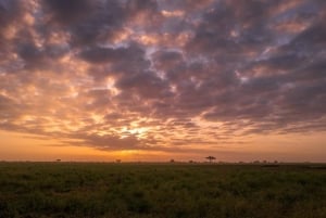 Safári nos santuários de Tsavo East e Tsavo West