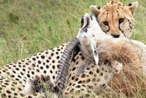 Tsavo East National Park : 2 Day Tour From Mombasa