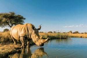 Tsavo East National Park : 2 Day Tour From Mombasa