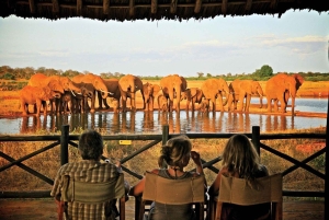 Parque Nacional Tsavo East: excursão de 2 dias saindo de Mombasa