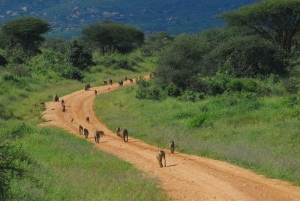 Parque Nacional Tsavo East: excursão de 2 dias saindo de Mombasa