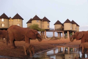Parque Nacional Tsavo East: excursão de 2 dias saindo de Mombasa