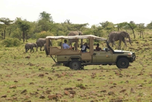 Parque Nacional Tsavo East: excursão de 2 dias saindo de Mombasa