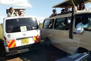 Dagsutflykt till nationalparken Tsavo East från Mombasa