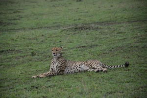 Excursión Explorador del Tsavo