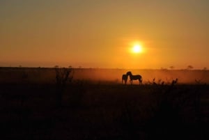 Tsavo Express 3 dias/2 noites (conforto)