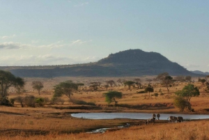 Tsavon kansallispuisto, Kenia: Tsavo Tsavo: 5 päivän safari