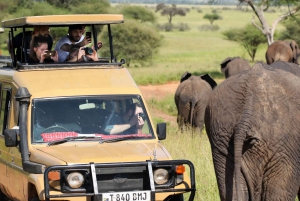 Tsavon kansallispuisto, Kenia: Tsavo Tsavo: 5 päivän safari