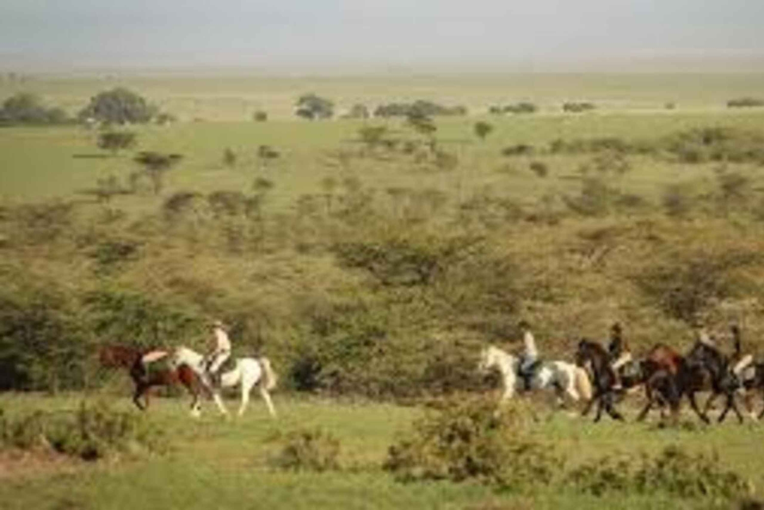 Tsavo West: Chyulu Hills hästsafari
