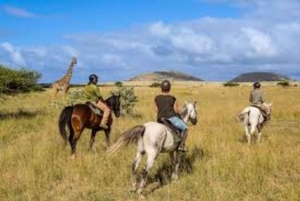 Tsavo West: Chyulu Hills hästsafari