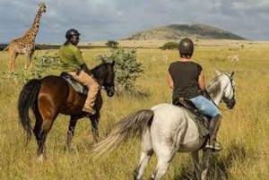 Tsavo West: Chyulu Hills hästsafari