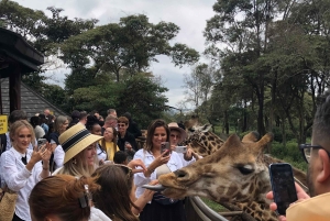 livlig tur i kiberas slum