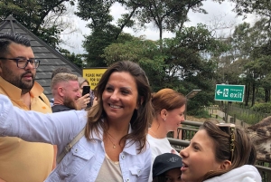 livlig tur i kiberas slum