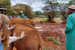Visit to David Sheldrick Elephant Orphanage