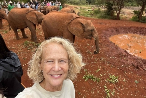 Visit to David Sheldrick Elephant Orphanage