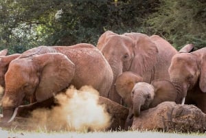 Bezoek aan het David Sheldrick olifantenweeshuis