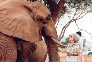 Visite de l'orphelinat d'éléphants David Sheldrick