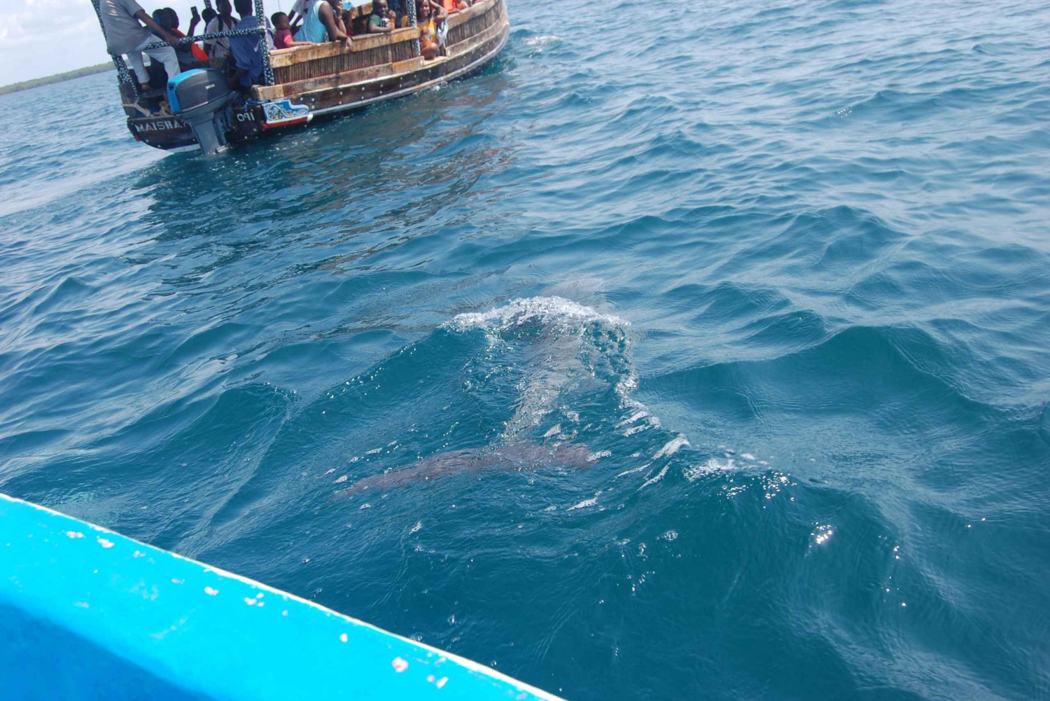 Wasini Dolphin 🐬 Tour from Diani Beach / Mombasa