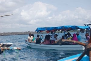 Wasini Dolphin 🐬 Tour from Diani Beach / Mombasa