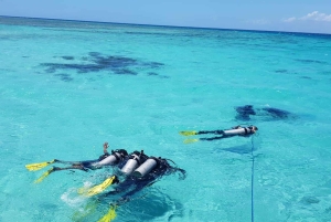 Wasini Utflykt: Delfinresa och snorkling vid Kisite Mpunguti