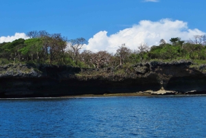 Wasini Utflykt: Delfinresa och snorkling vid Kisite Mpunguti