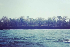 Wasini Utflykt: Delfinresa och snorkling vid Kisite Mpunguti