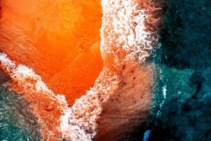 Wasini Island: Dagstur