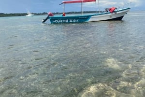 Wasini Island: Dagstur