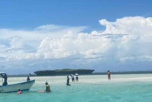 Wasini Island: Dagstur