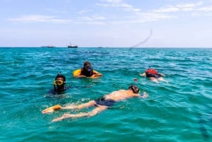 Wasini Island: Delfinspotting og snorkling ved Kisite Mpunguti